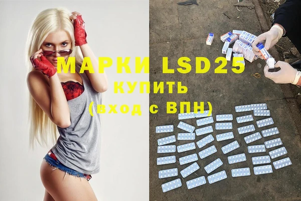 ECSTASY Болотное