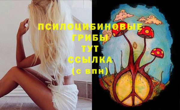 бутират Михайловка