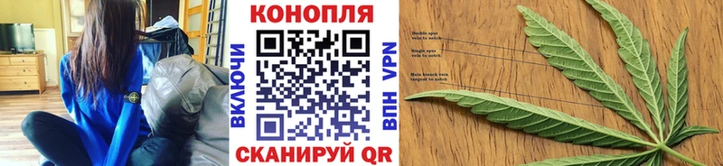 МАРИХУАНА планчик  Талица 